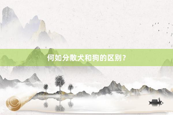 何如分散犬和狗的区别？